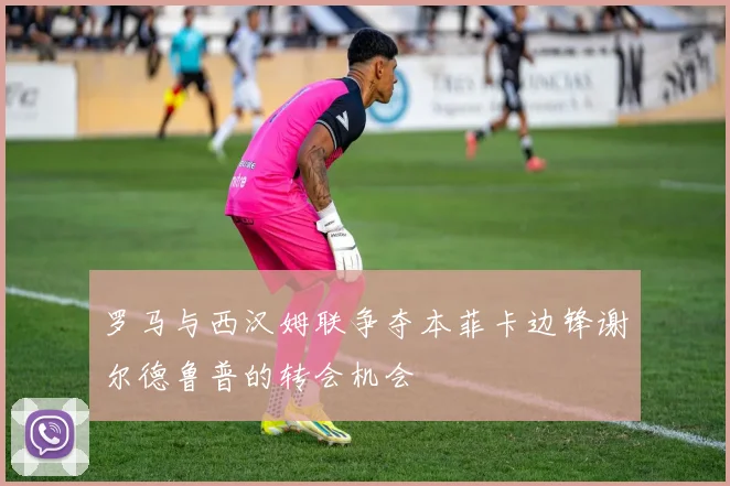 罗马与西汉姆联争夺本菲卡边锋谢尔德鲁普的转会机会