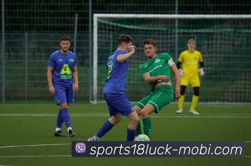 18新利体育服务体系